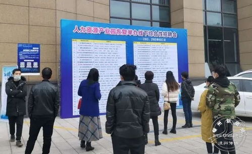 我市舉辦首場新春綜合性線下招聘會 推出招聘崗位1174個